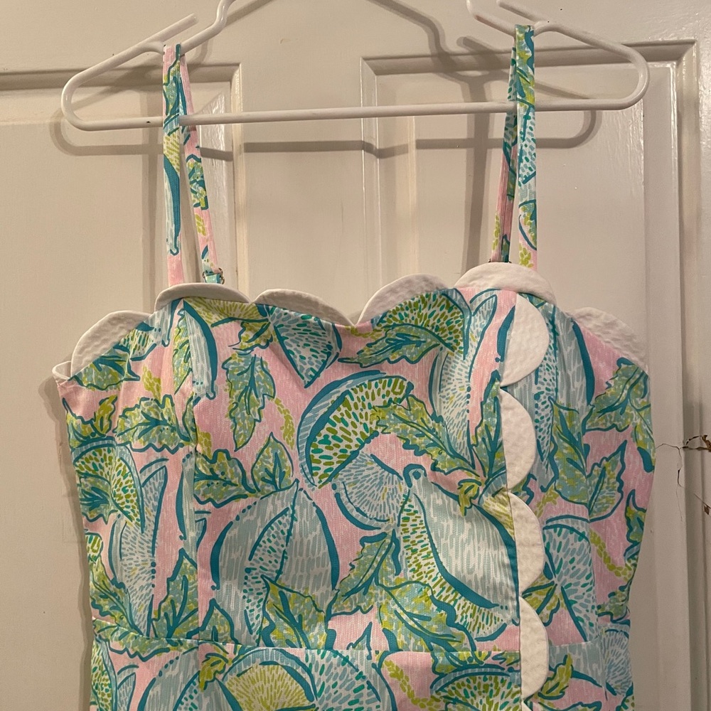 Lilly Pulitzer dress - Picture 2 of 5